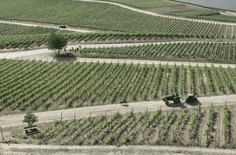 Avicultura del Ebro, S.L.