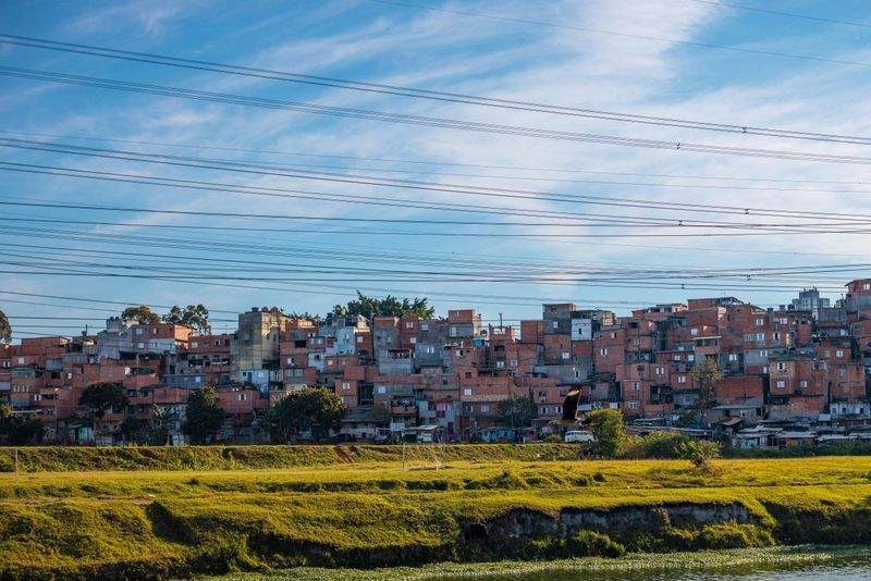Buenas prácticas de bioseguridad en granjas avícolas