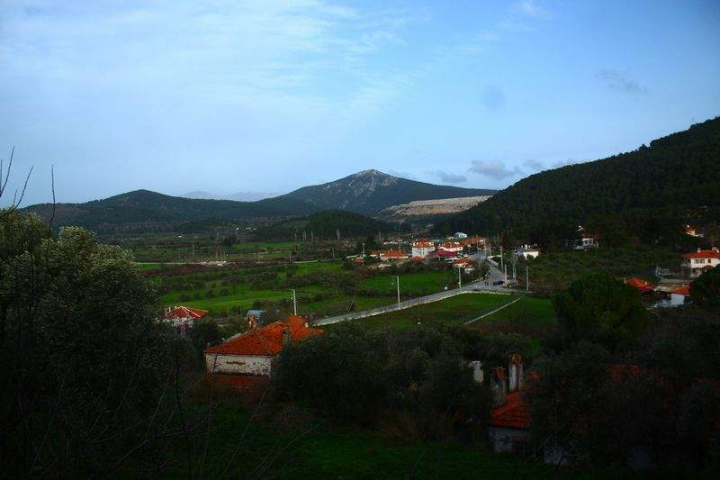Avicultura del Ebro, S.L. 13